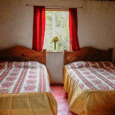 Cabañas Toniná Kayab Ocosingo Esterno foto