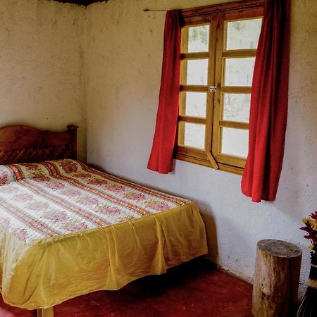 Cabañas Toniná Kayab Ocosingo Esterno foto