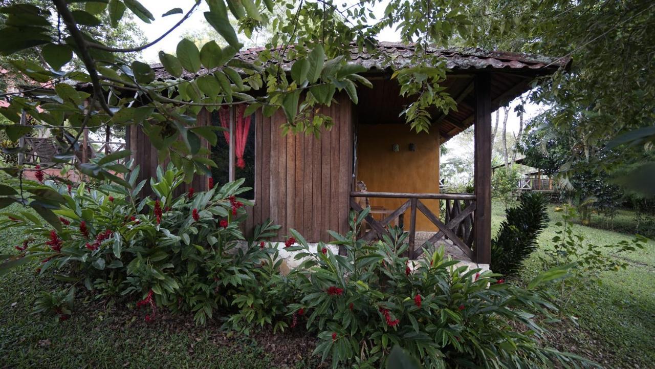 Cabañas Toniná Kayab Ocosingo Esterno foto