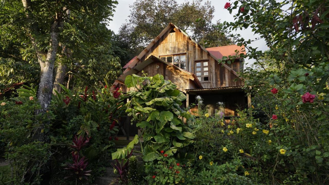 Cabañas Toniná Kayab Ocosingo Esterno foto