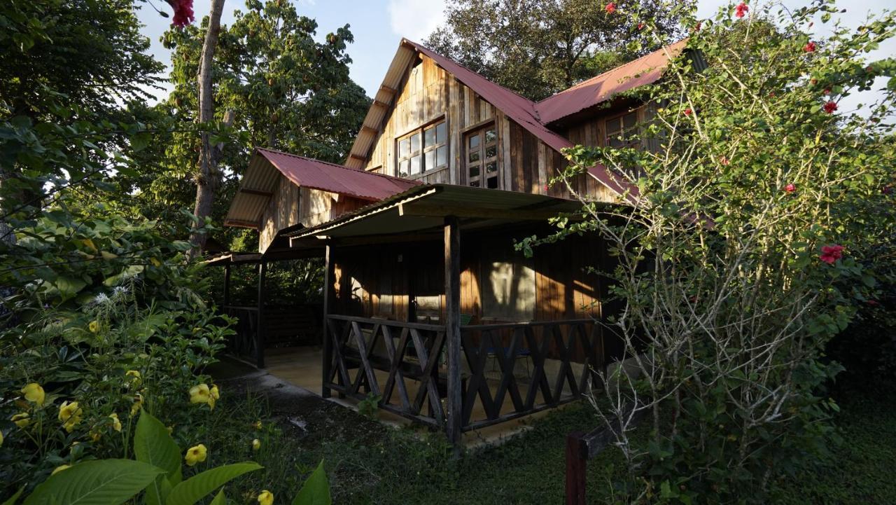 Cabañas Toniná Kayab Ocosingo Esterno foto