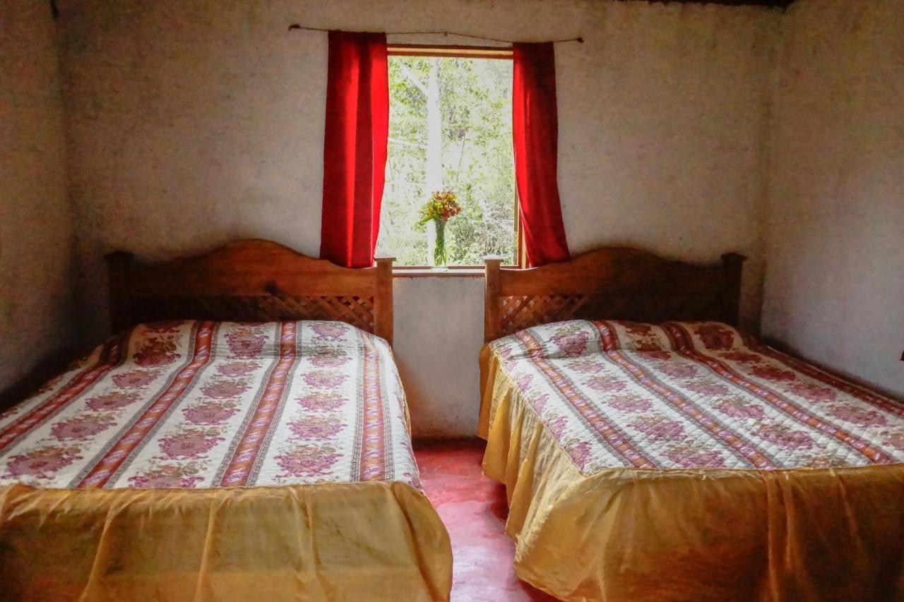 Cabañas Toniná Kayab Ocosingo Esterno foto