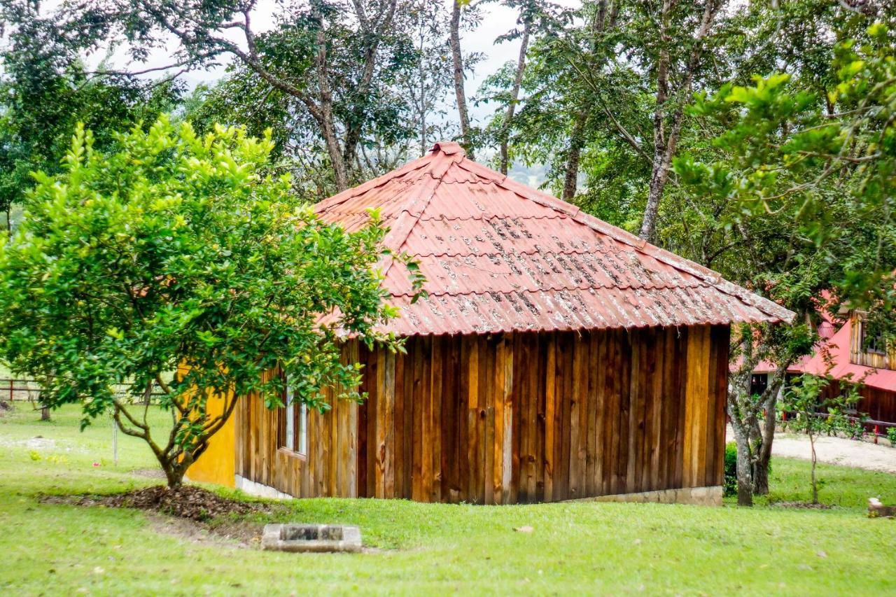Cabañas Toniná Kayab Ocosingo Esterno foto