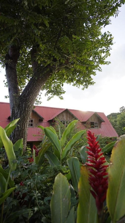 Cabañas Toniná Kayab Ocosingo Esterno foto