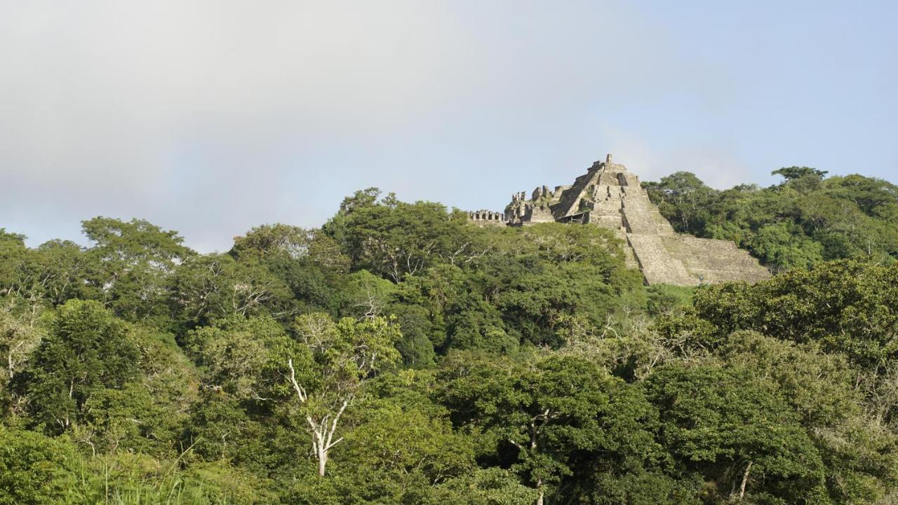 Cabañas Toniná Kayab Ocosingo Esterno foto